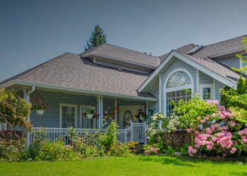 Top Agent Insights for the New Year