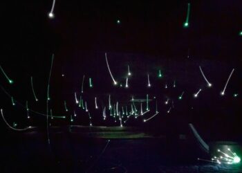 starlight headliners