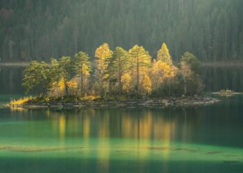 Biocentrism Debunked