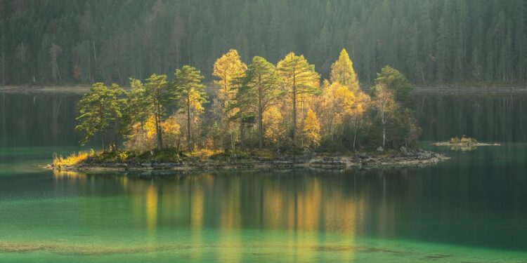 Biocentrism Debunked