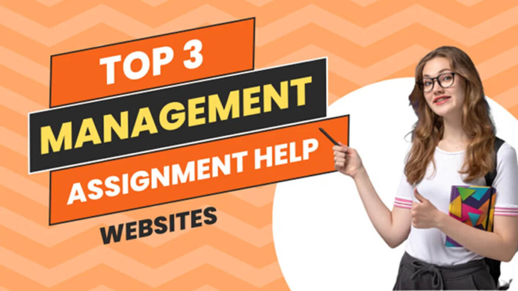 assignment help website