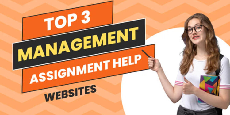 assignment help website