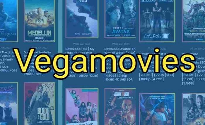 vegamovies.stores